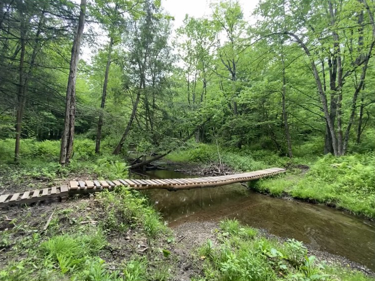 Shaker Tract Trail Wooden Bridge over Third Creek